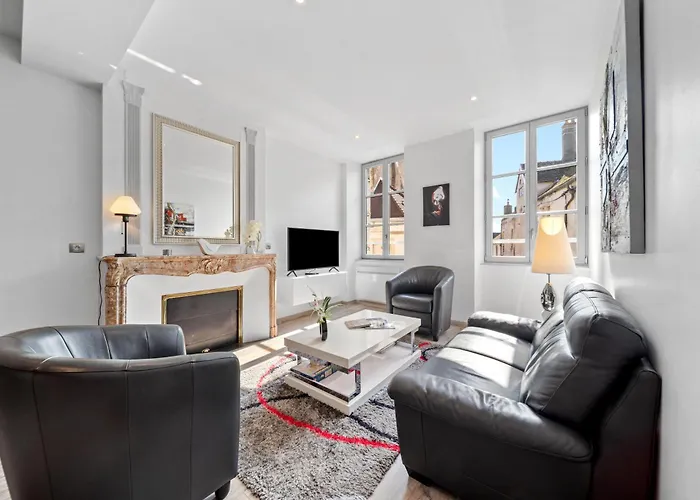 Le Beau Carnot - Appartement En Hypercentre De Beaune