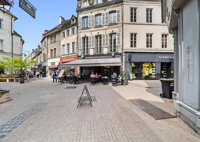 Le Beau Carnot - Appartement En Hypercentre De Beaune